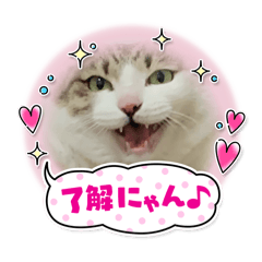 nao_20241224030416
