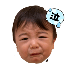 koto_20241224112045