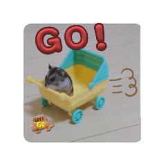 nitamago_20241224011056