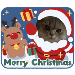 maaay_20241224150600