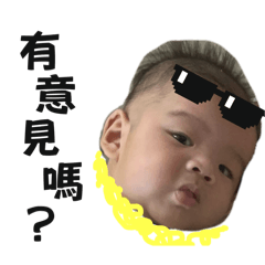 茼萵就是茼萵