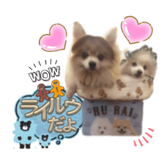 SEA_HouseL_20241224095053