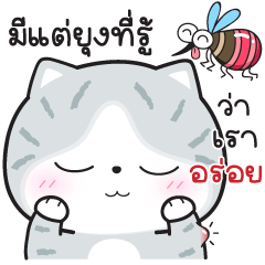 Munkaew little cat V.62(Happy New Year)