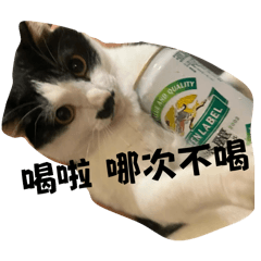 Moèt與他的好朋友