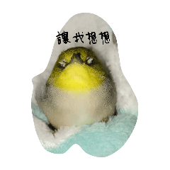 阿發與阿鳥