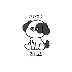 hangul dog