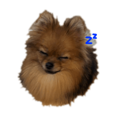 n_20241224162940