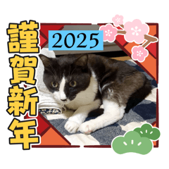 Kana_20241224181052