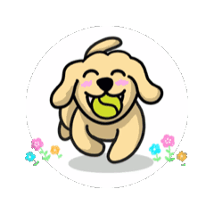 Piyo_20241223182227