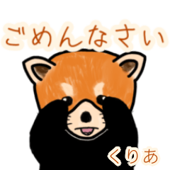 Kuria's lesser panda