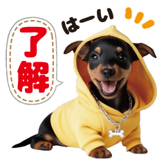 Cute dog 01 Miniature Pinscher