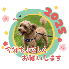 yuki_20241224194846