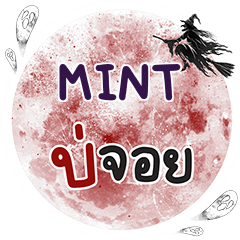 MINT บ่จอย คำเดียว e