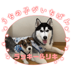 yuma_20241224230409