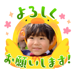 Jingo_20241224234150