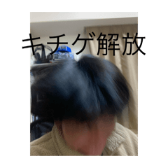 HELLO_20241224183516