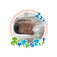 hikari_20241225