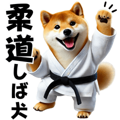 Judo Shiba Inu