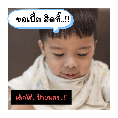 Bodhi_20241225115707