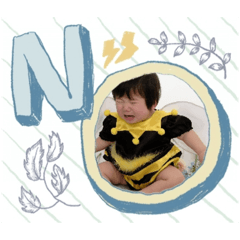 hikari_20241225105004