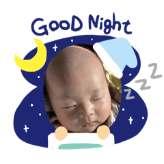 pipi_20241225112549