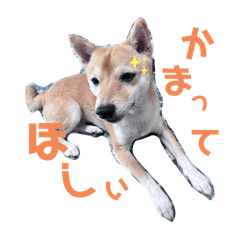 rita_20241225120925