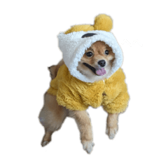 mimi_20241225123742