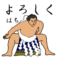 Hachi's Sumo conversation