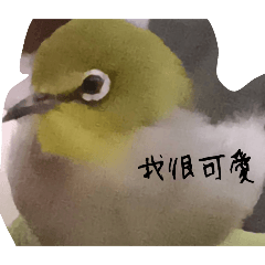 想阿發阿鳥