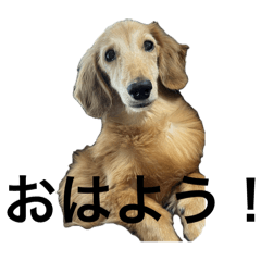 mai_20241225143442