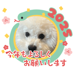 mura_20241225144942