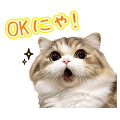 IT Cat`s Work: Cute Sticker Collection