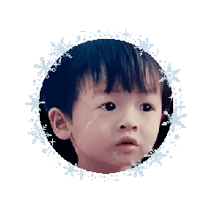 小豬排寶