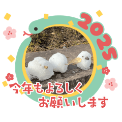 SAYURI_20241225165134