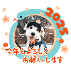 CELOTEH_20241225165541