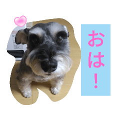 nanamin_20241225165610