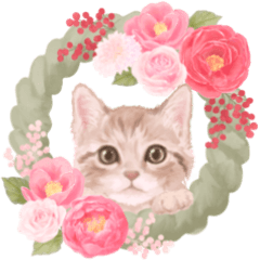 Cats and rabbits with winter flowers