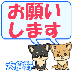 Ookurano's letters Chihuahua2