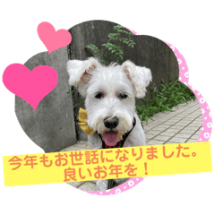 CELOTEH_20241225170942