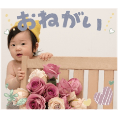kipon_20241225180636
