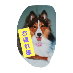 chiyo_20241225194953
