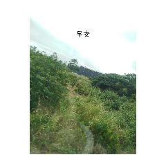 你好嗎？哈哈哈