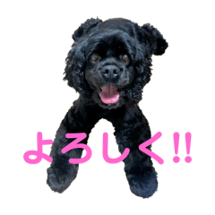 naa_20241226013441
