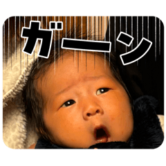 Sakurako_20241226064134