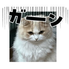 Minako_20241226110556