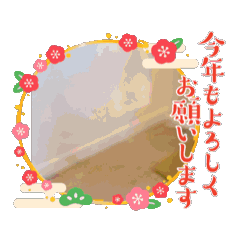 Mine_20241226122223