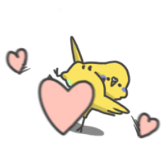 Parakeet3