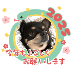 新年アイサツ２