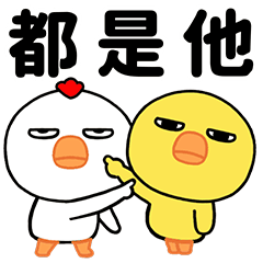 Yellow chick and white chick daily life