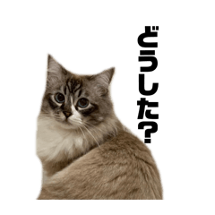 bb_20241226153927
